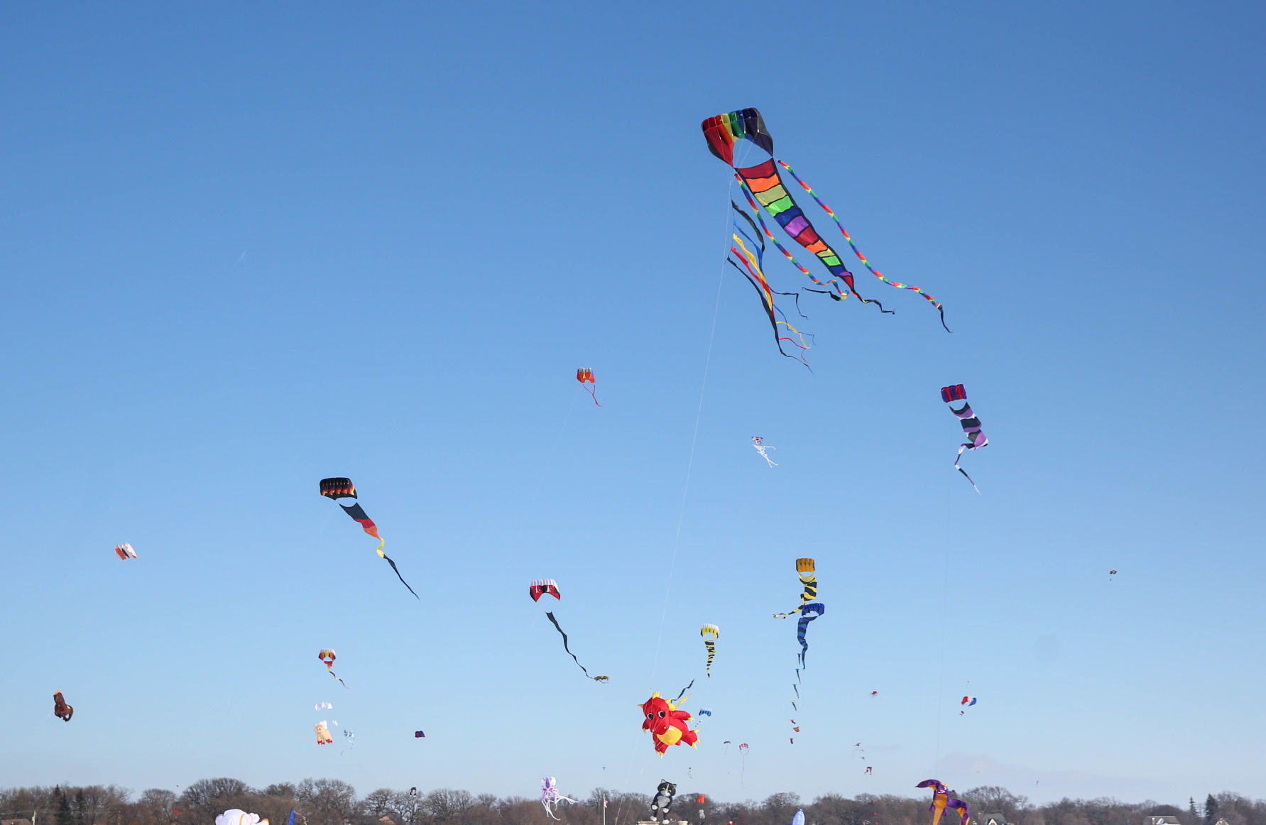Color the Wind kite festival 02-15-2020 (55).jpg